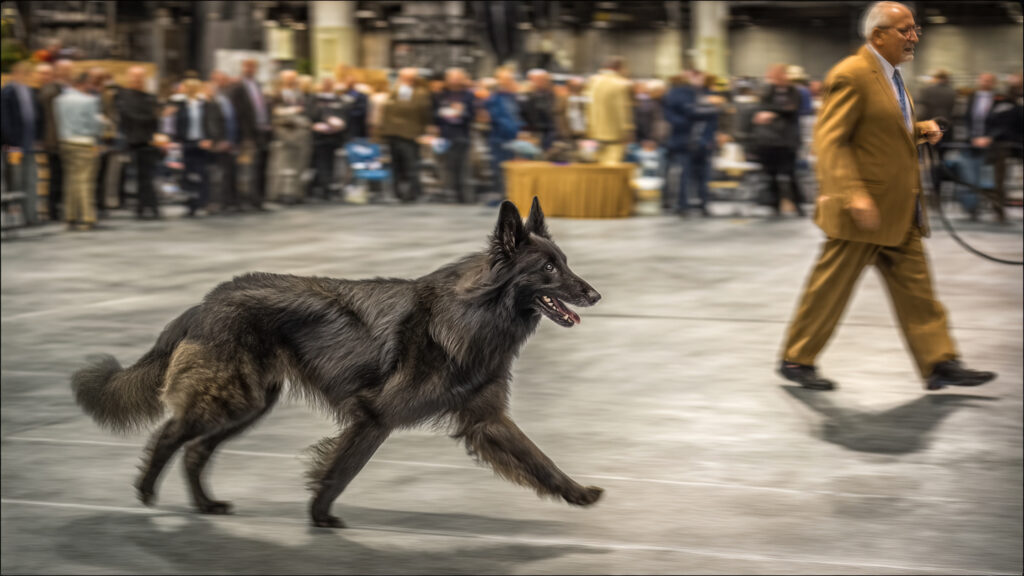 Competition Highlights and Winners